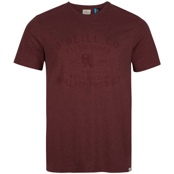O'Neill LM ESTABLISHED T-SHIRT Pánské tričko